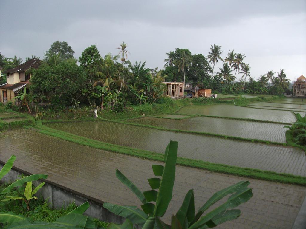 Suwar Bungalows Ubud Exterior foto